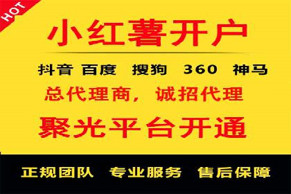 SEM服务在本地化营销中的应用案例